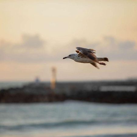 Ibis Budget Ciboure St-Jean-Luz 외부 사진